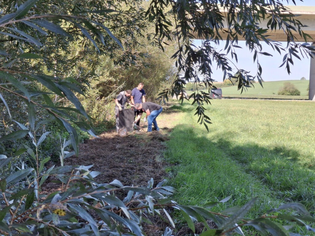 Aufbau des PArcours
